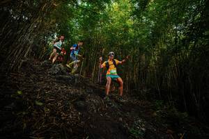 BIB: 
                            <button type="button" onclick="openModal(25099168)" class="btn btn-primary btn-sm float-right btn-popup" data-toggle="modal" data-target=".modal-high-quality">
                        <i class="fas fa-shopping-cart"></i> Add to Cart
                    </button>
                                            <button type="button" onclick="isThisMe(25099168, true)" class="btn btn-success btn-sm float-right btn-popup btn-isme hidden" data-toggle="tooltip" data-placement="bottom" title="นี่คือรูปของคุณใช่ไหม คลิกที่นี่เพื่อเอาเข้าอัลบั้ม">
                        <i class="fas fa-plus"></i> Add to album
                    </button>
                    <button type="button" onclick="isThisMe(25099168, false)" class="btn btn-warning btn-sm float-right btn-popup btn-isnotme hidden">
                        <i class="fas fa-ban"></i> Remove from album
                    </button>